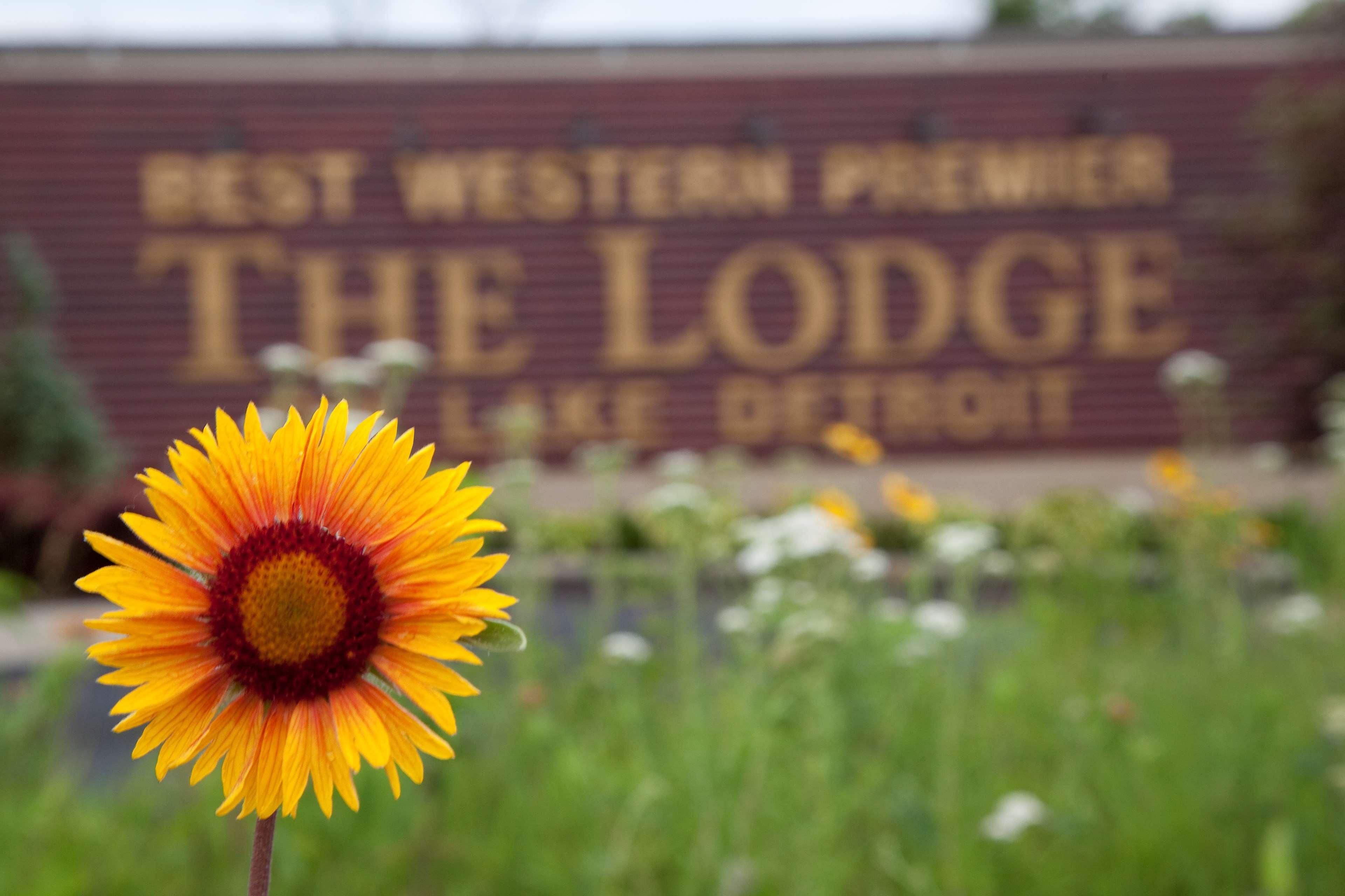 Best Western Premier The Lodge On Lake Detroit Detroit Lakes Exterior photo